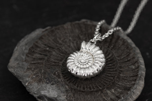 Large Dorset Ammonite Pendant