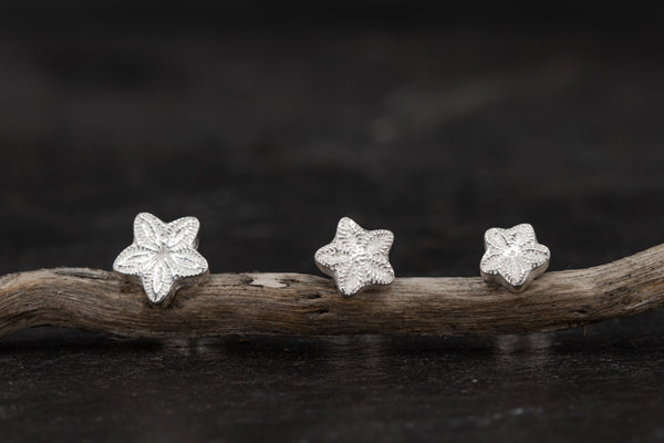 Crinoid Stud Earrings