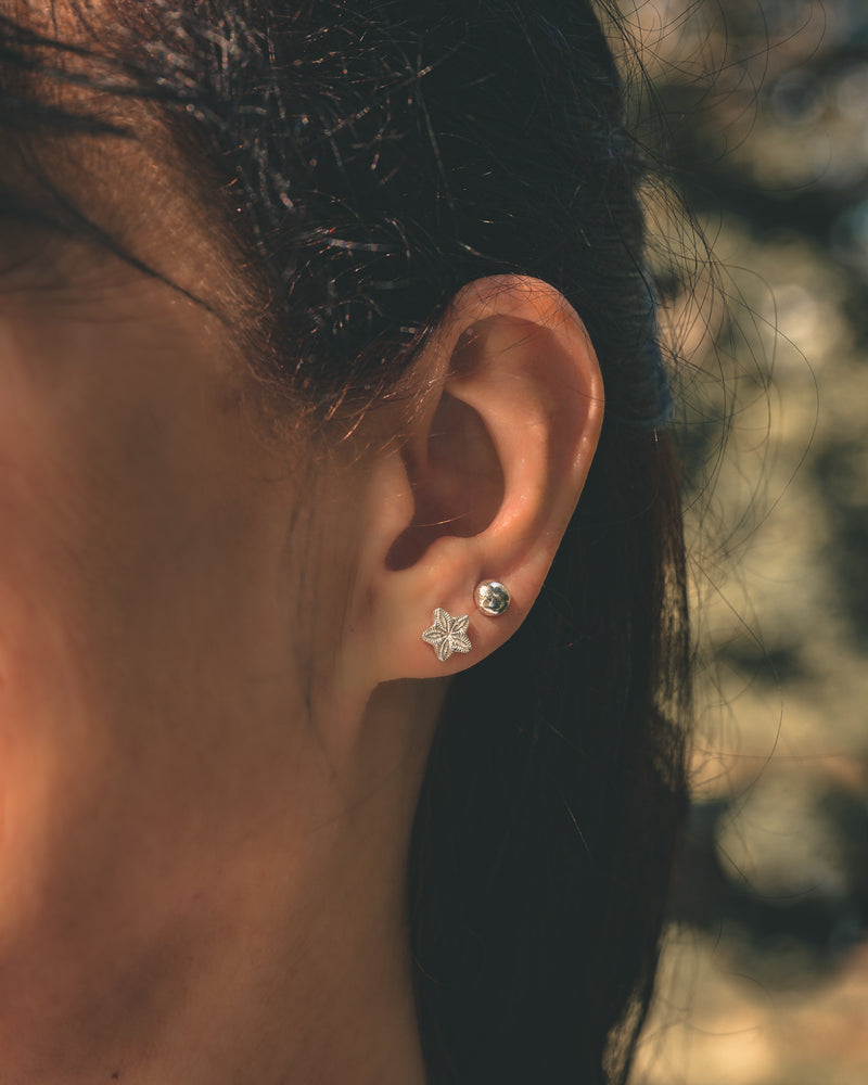 Crinoid Stud Earrings